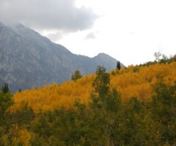 fall+pictures+soap+084[1]