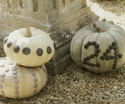 fall+pumpkins[1]