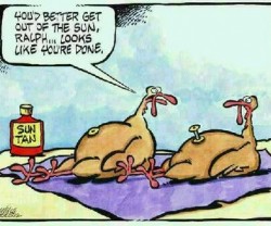 turkey[1]