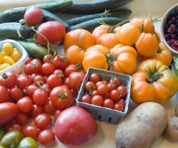 augustbounty[1]