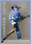 blue+mondays[1]
