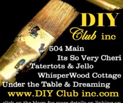 DIY-CLUB-inc-button-1-WEB1[1]