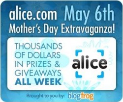Square-Alice-Banner1[1]