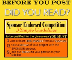 DIY-Club-easier-guidelines[1]