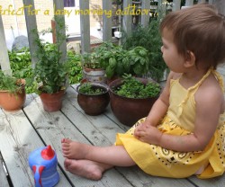 img_3950[1]