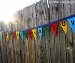 sun+behind+pennant[1]