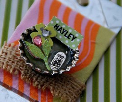 hayleys+tag[1]