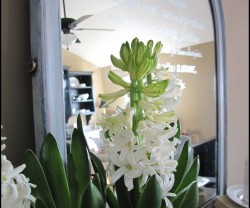 IMG_9377_thumb[1]
