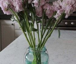 IMG_4076_thumb15