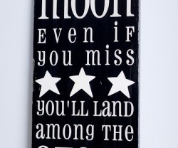 shoot+for+the+moon[1]