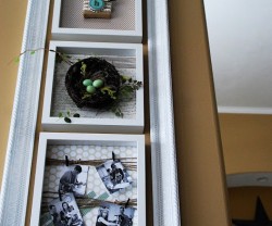 spring+specimen+art+total[1]