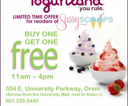 Yogurtland_promov2-1024x1024[1]