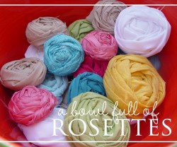 fabric+rosettes[1]