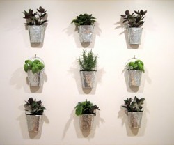 kitchen+garden+wall[1]