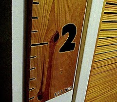 ruler+chart+closeup[1]