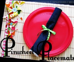bamboo fabric pinwheel placemat 6