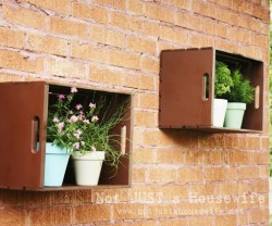 outdoor+crate+shelves[1]