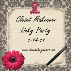closet linky party 250