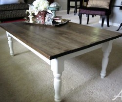 anna's coffee table