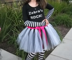 zebras rock