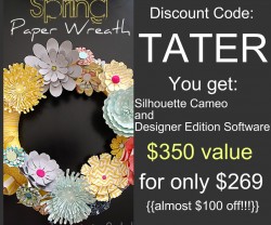 silhouette discount