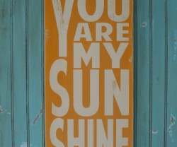 you are my sunshine barn owl