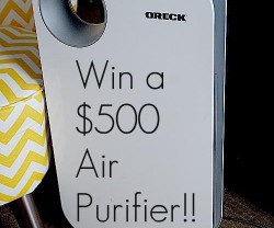 Oreck Air Instinct pic