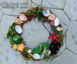 succulent wreath