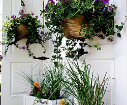 DIY-Privacy-Screen-and-Subway-Tile-Planters