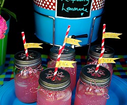 tailgate picnic lemonade stand