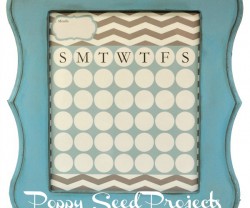 poppy seed project giveaway on tatertots and jello