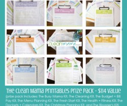 clean-mama-printables-prize-pack-550x502-riot