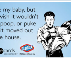 clorox1