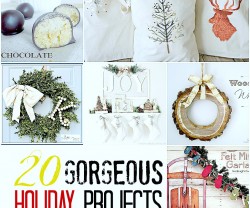 20 favorite holiday projects