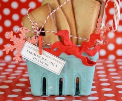 ginger bread house kit