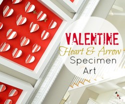 valentine Heart and Arrow Specimen Art