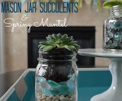 mason jar succulents and spring mantel Tatertots & Jello
