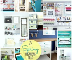 22 spring organzing ideas