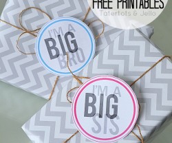 Big Brother Big Sister Free Printables at tatertotsandjello.com
