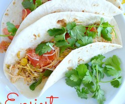 easiest crockpot chicken recipe at tatertots and jello