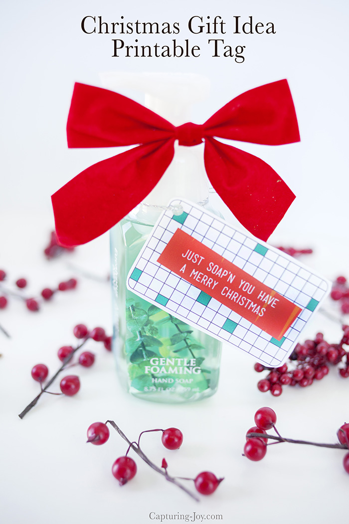 Free Christmas Printable Gift Tags Soap Gift Idea!
