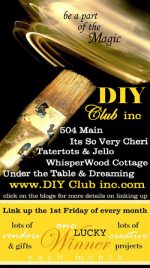 Who was crowned the DIY Club winner this month?