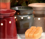 delightful Scentsy giveaway!!