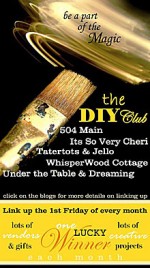 Some Exciting News!! The DIY CLub — Let the Magic Begin! Update!