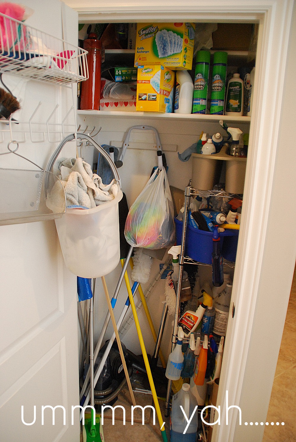 https://tatertotsandjello.com/wp-content/uploads/2012/01/before-cleaning-closet.jpg