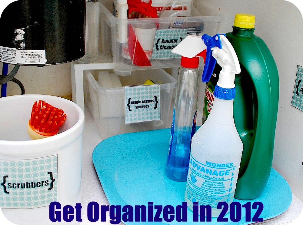 How to Organize a Cleaning Cabinet - Twelve On Main