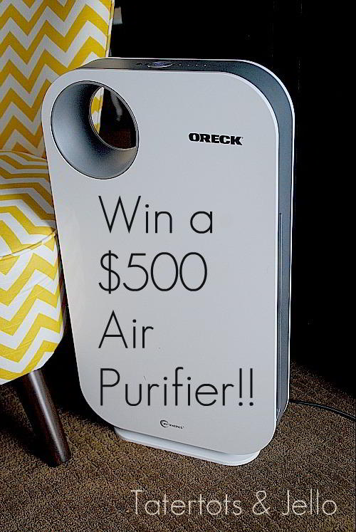 Win a $500 Oreck Air Purifier!!!