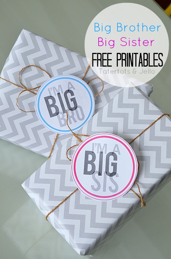 Big Sister Big Brother It's a Girl It's a Boy Printable Pennant Flags