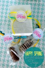 12 FREE Spring Printables and how to Make Disneyland Marshmallow Caramel Chocolate Pops!