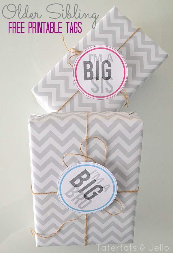 Big Sister Big Brother It's a Girl It's a Boy Printable Pennant Flags